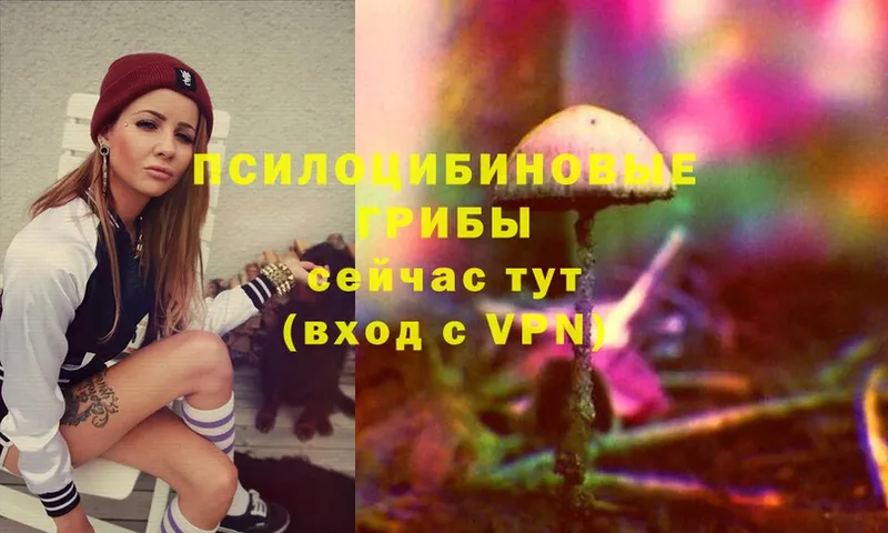 Псилоцибиновые грибы Psilocybe  hydra   Дно 